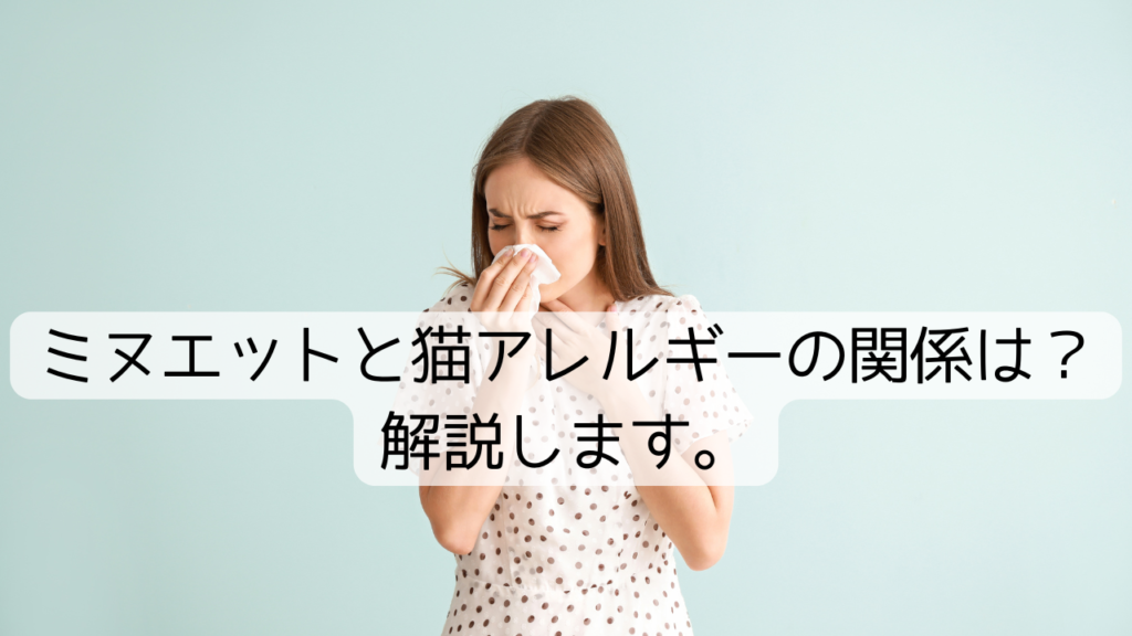 ミヌエットと猫アレルギーの関係は？解説します。