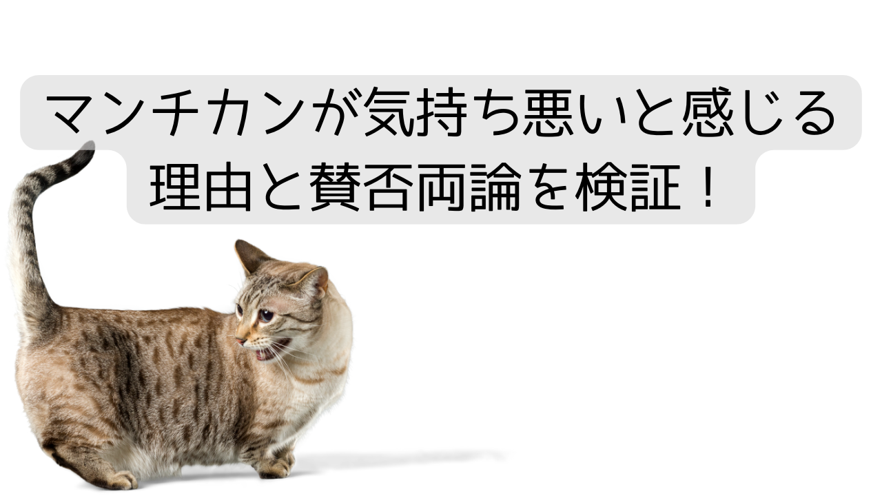 マンチカンが気持ち悪いと感じる理由と賛否両論を検証！